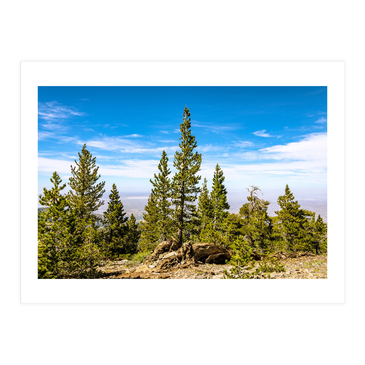 Pine Mountain (Print Only)