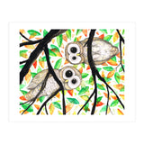 Two curious owls (Print Only) thumbnail