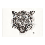 Tiger (Print Only) thumbnail