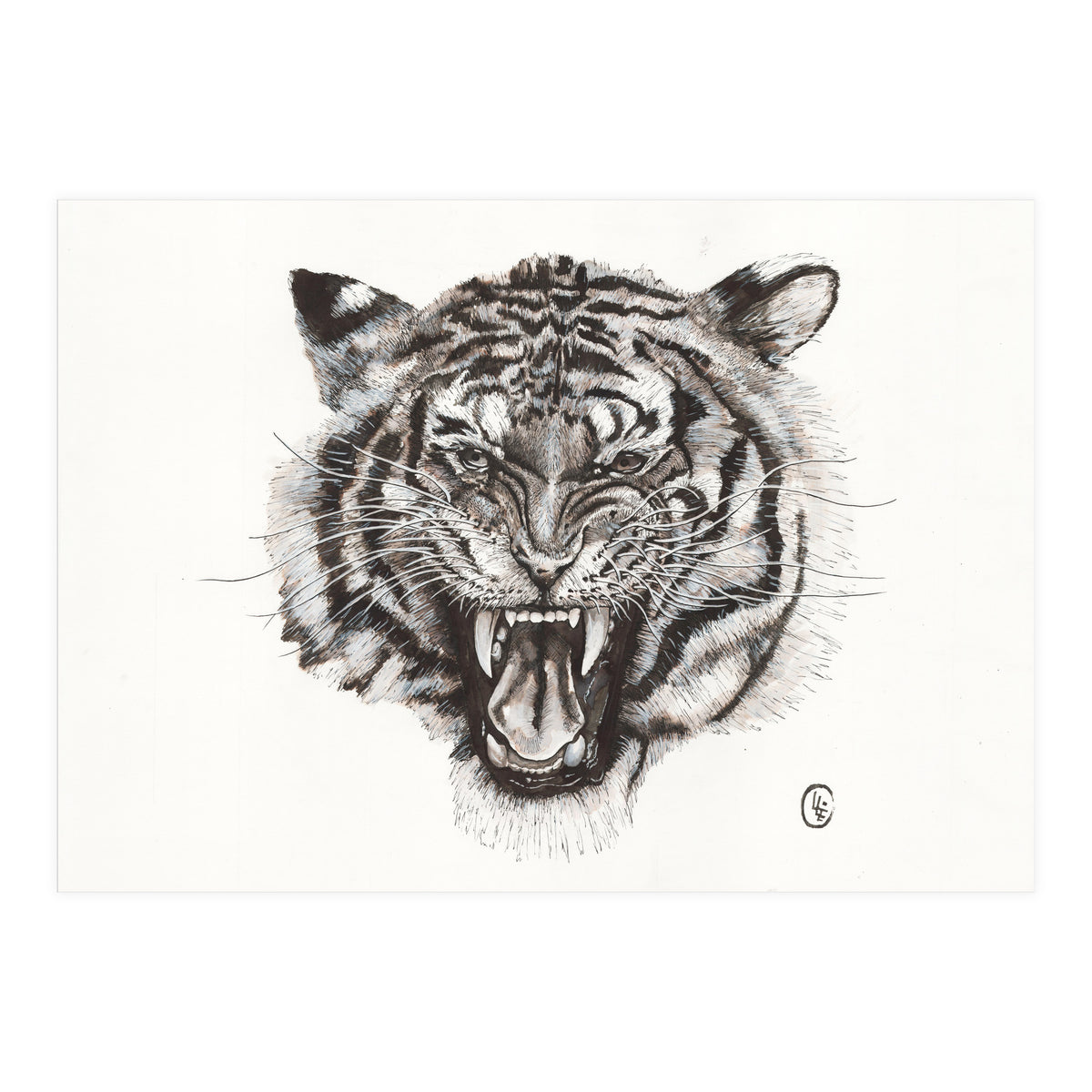 Tiger (Print Only)