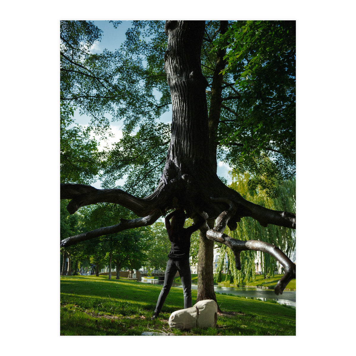 The Devil's Tree (Print Only)