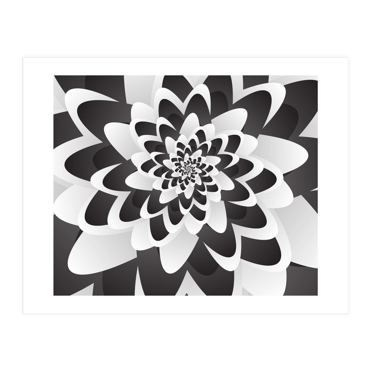 Mono Chrome Flower Spiral   (Print Only)