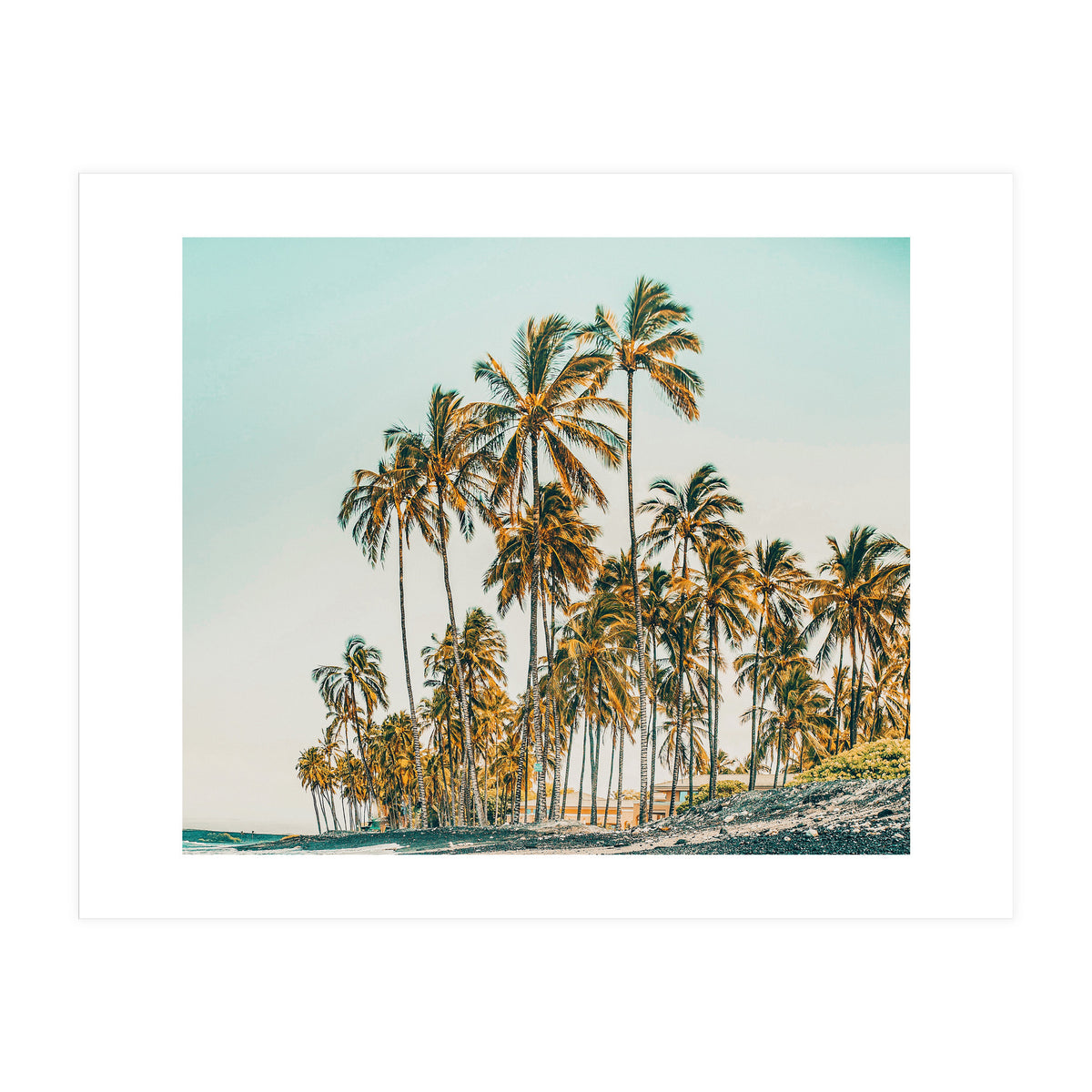 Island Life III (Print Only)