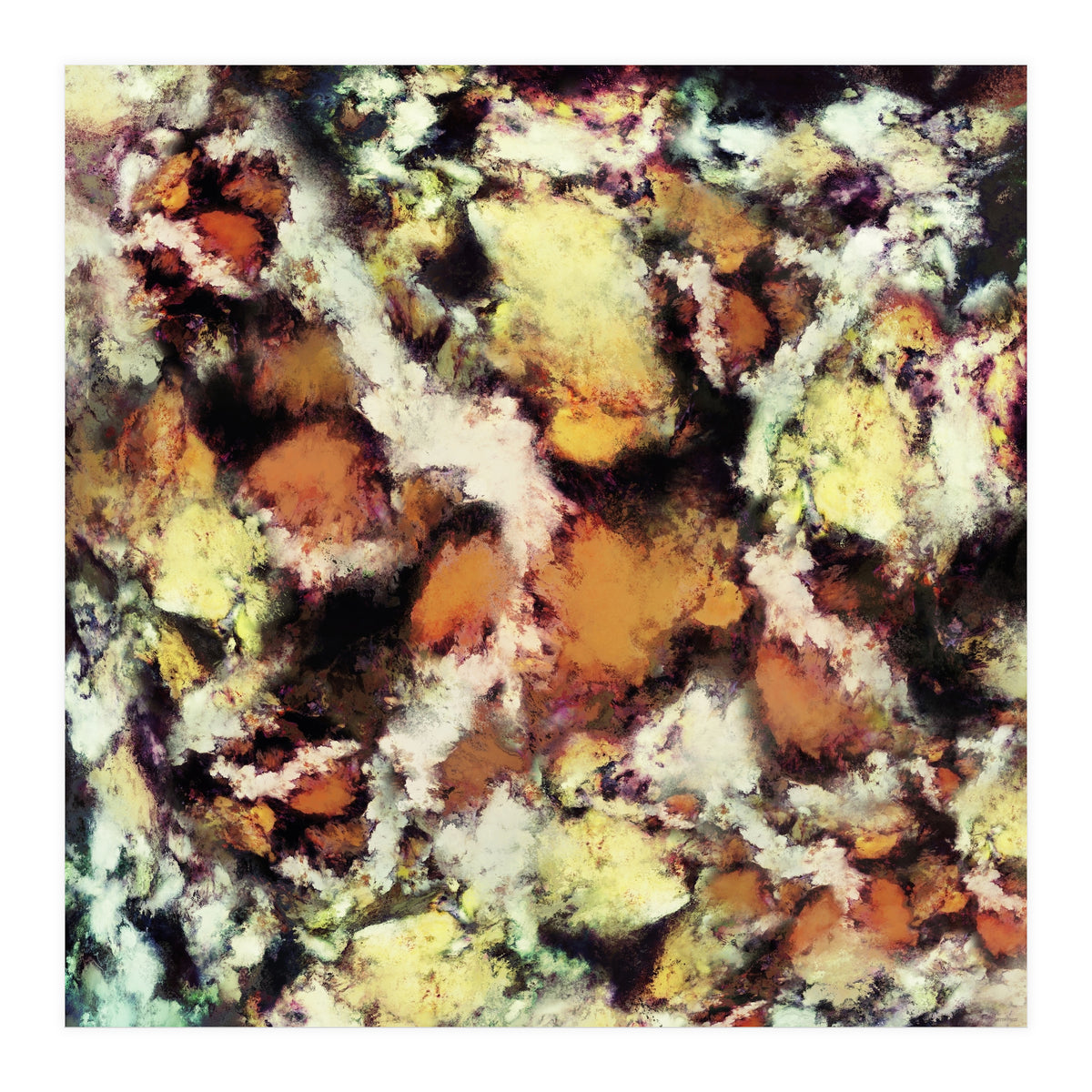 Fractured Viewpoint (Print Only)