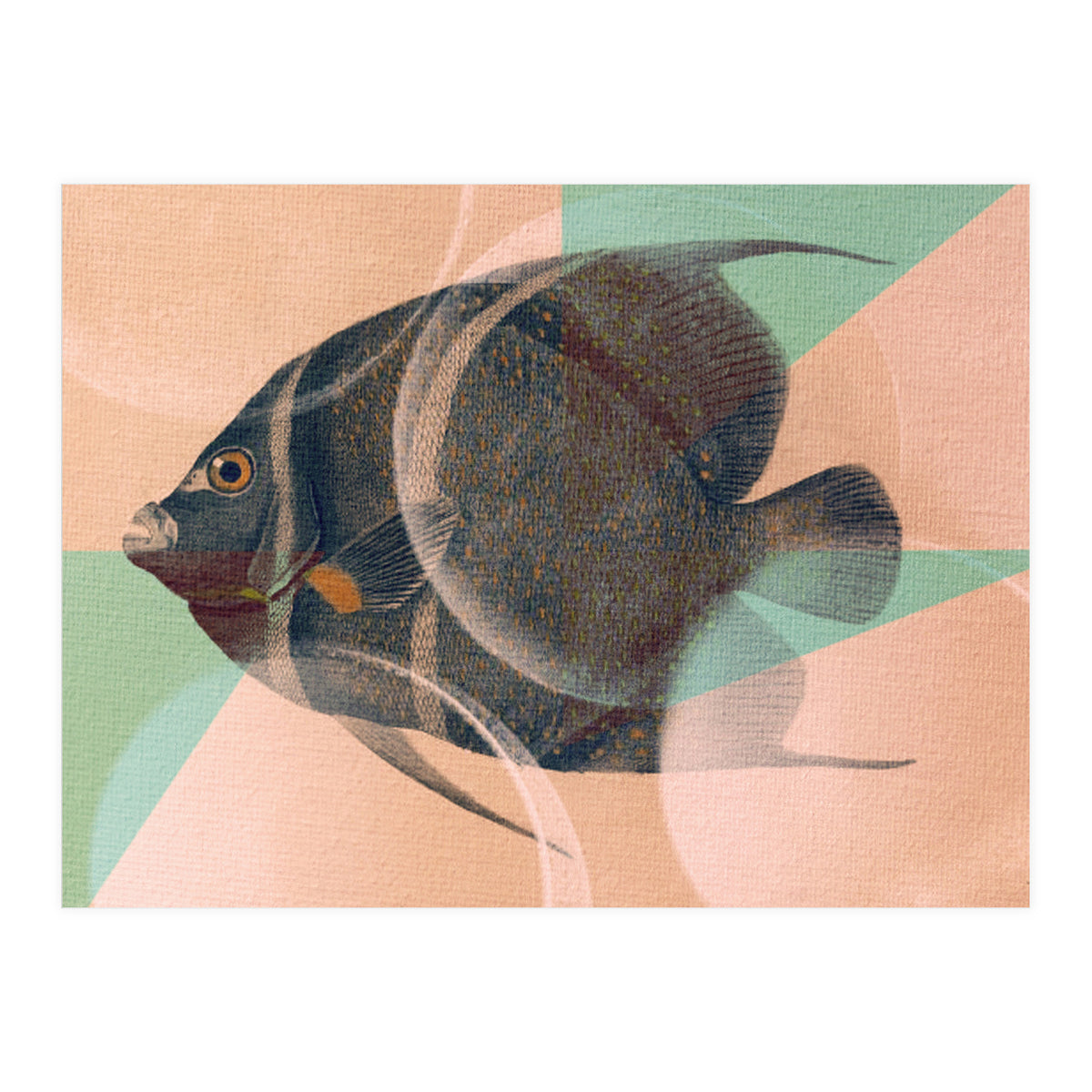 Fish Between Circles 2 (Print Only)