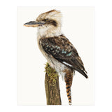 Cc Birds 08 (Print Only) thumbnail