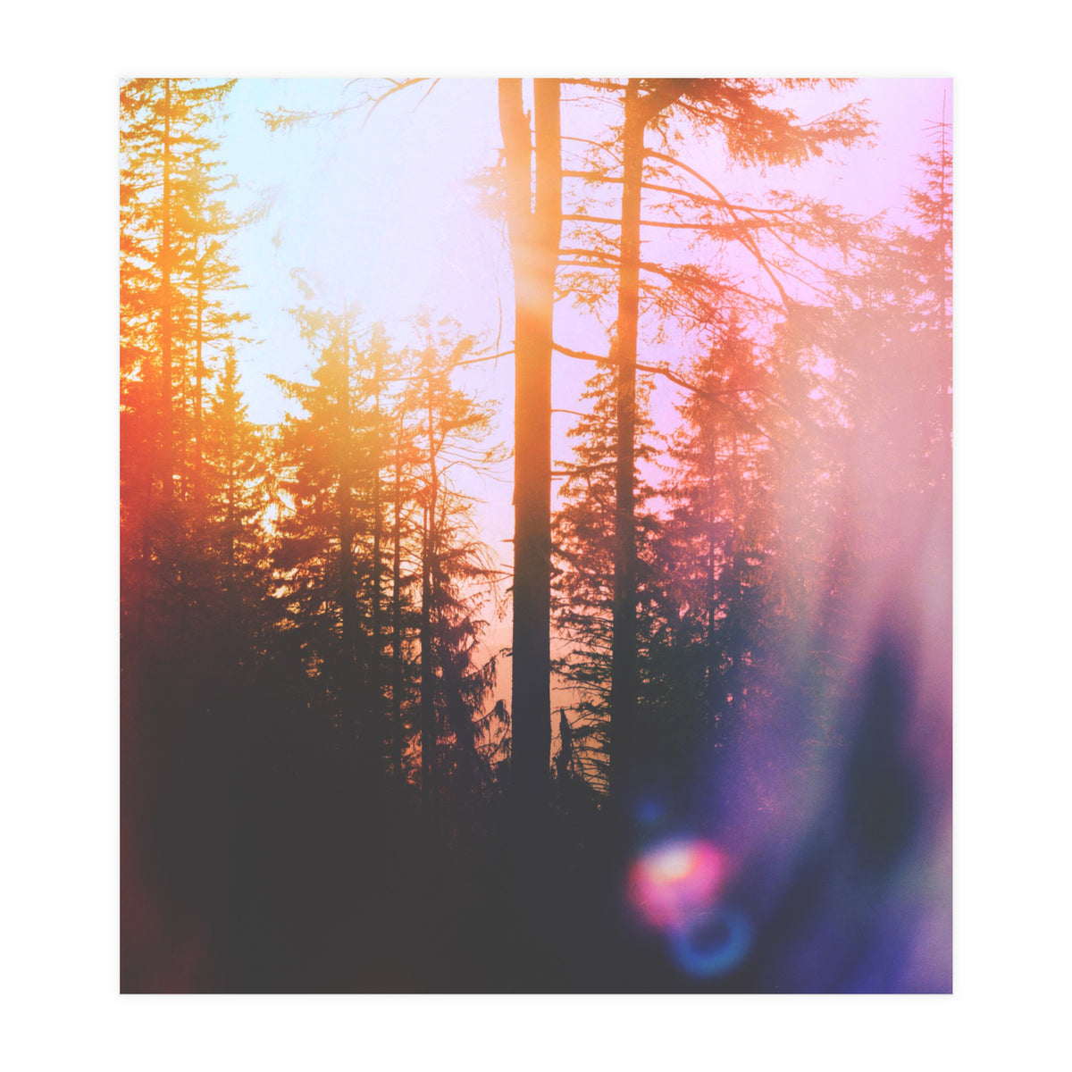 Finding Light (Print Only)