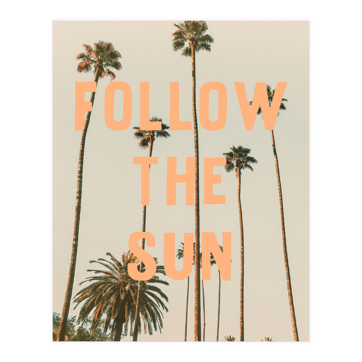 Follow The Sun (Print Only)