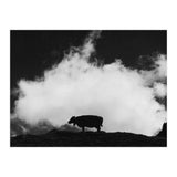 cow and cloud (Print Only) thumbnail