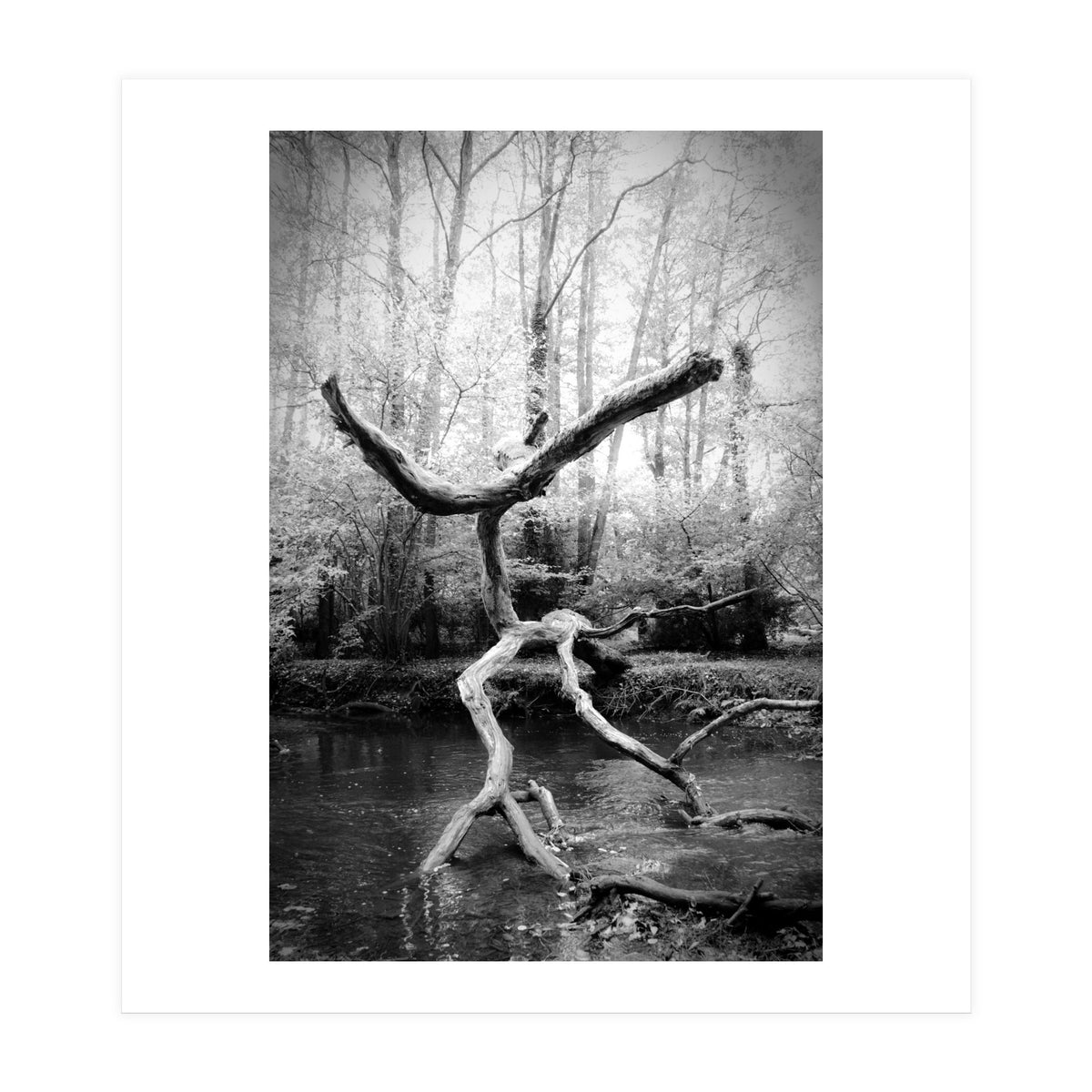 the negotiator (Print Only)