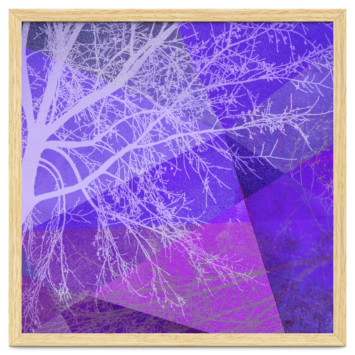 P19-D2 Trees and Triangles