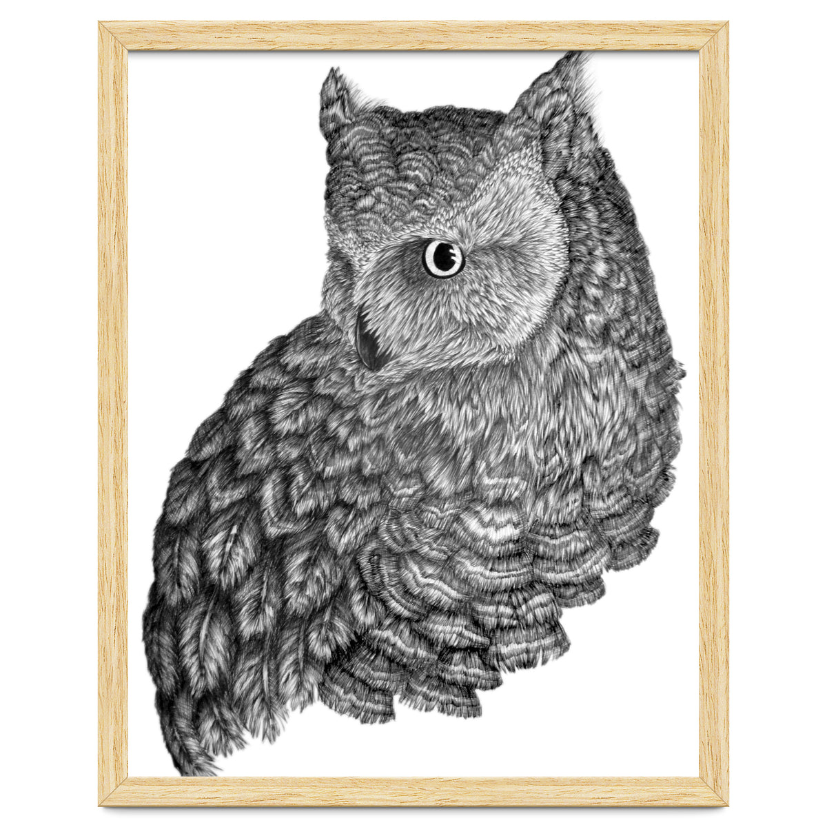 A Friend For Forsythe