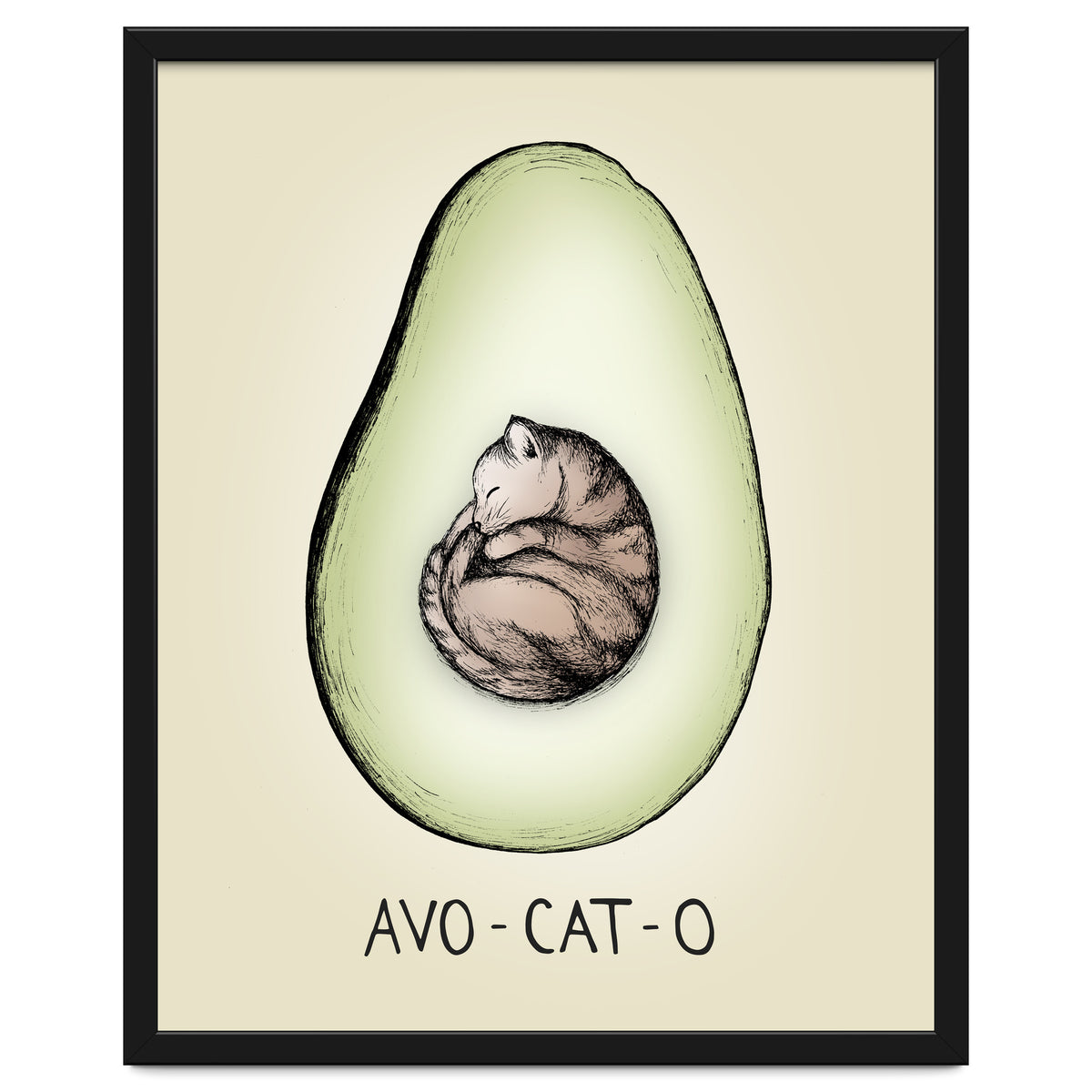 Avo-cat-o