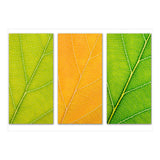 Autumn Leaves (Print Only) thumbnail