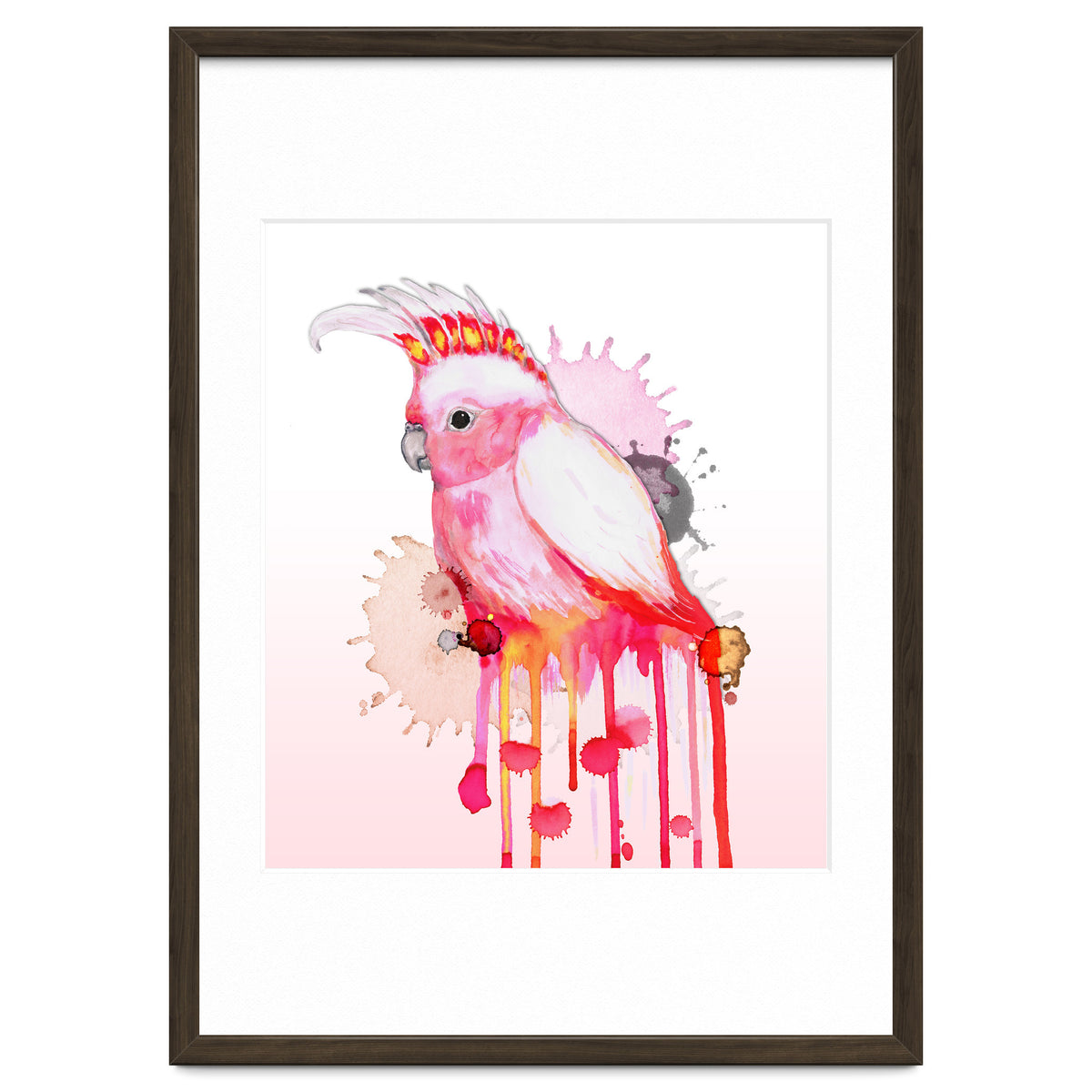 Major Mitchell's cockatoo