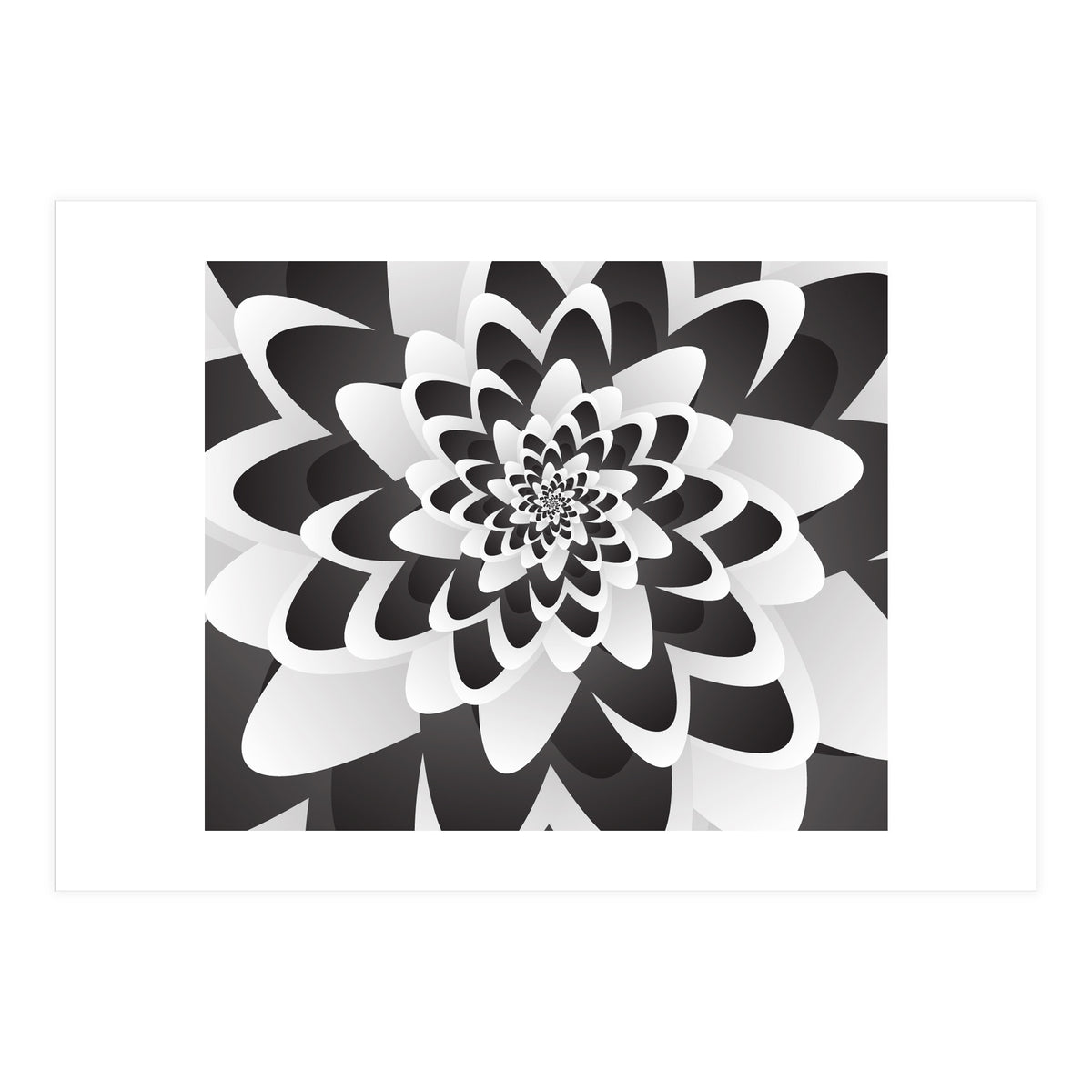 Mono Chrome Flower Spiral   (Print Only)