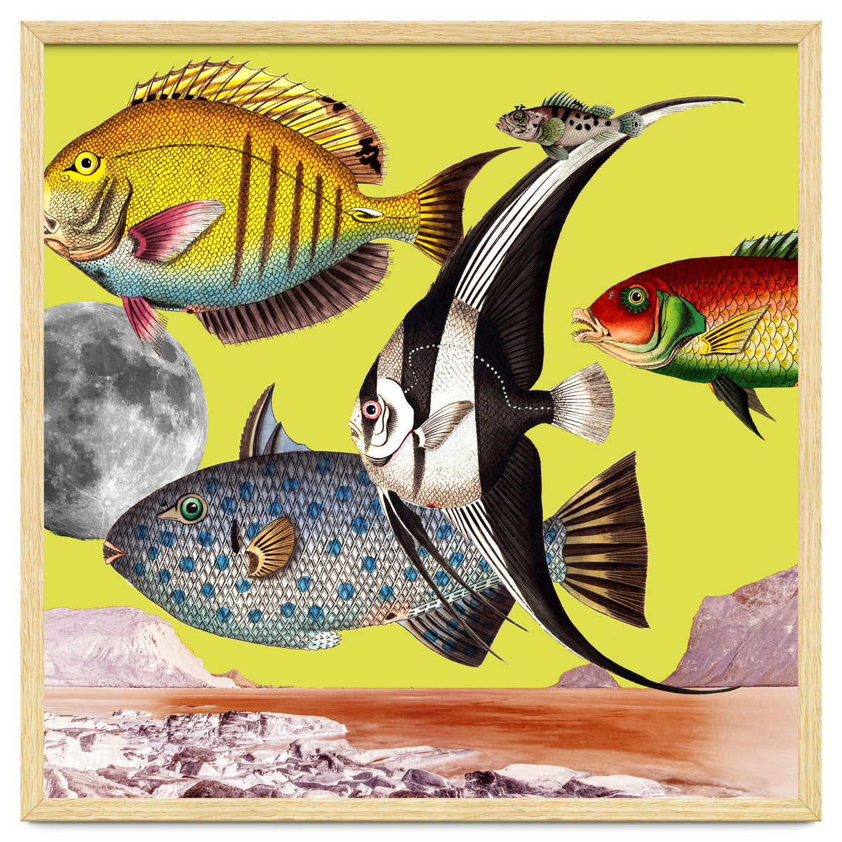 Plenty Of Fish In The Sea Yellow