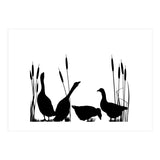 Goose talk too (Print Only) thumbnail