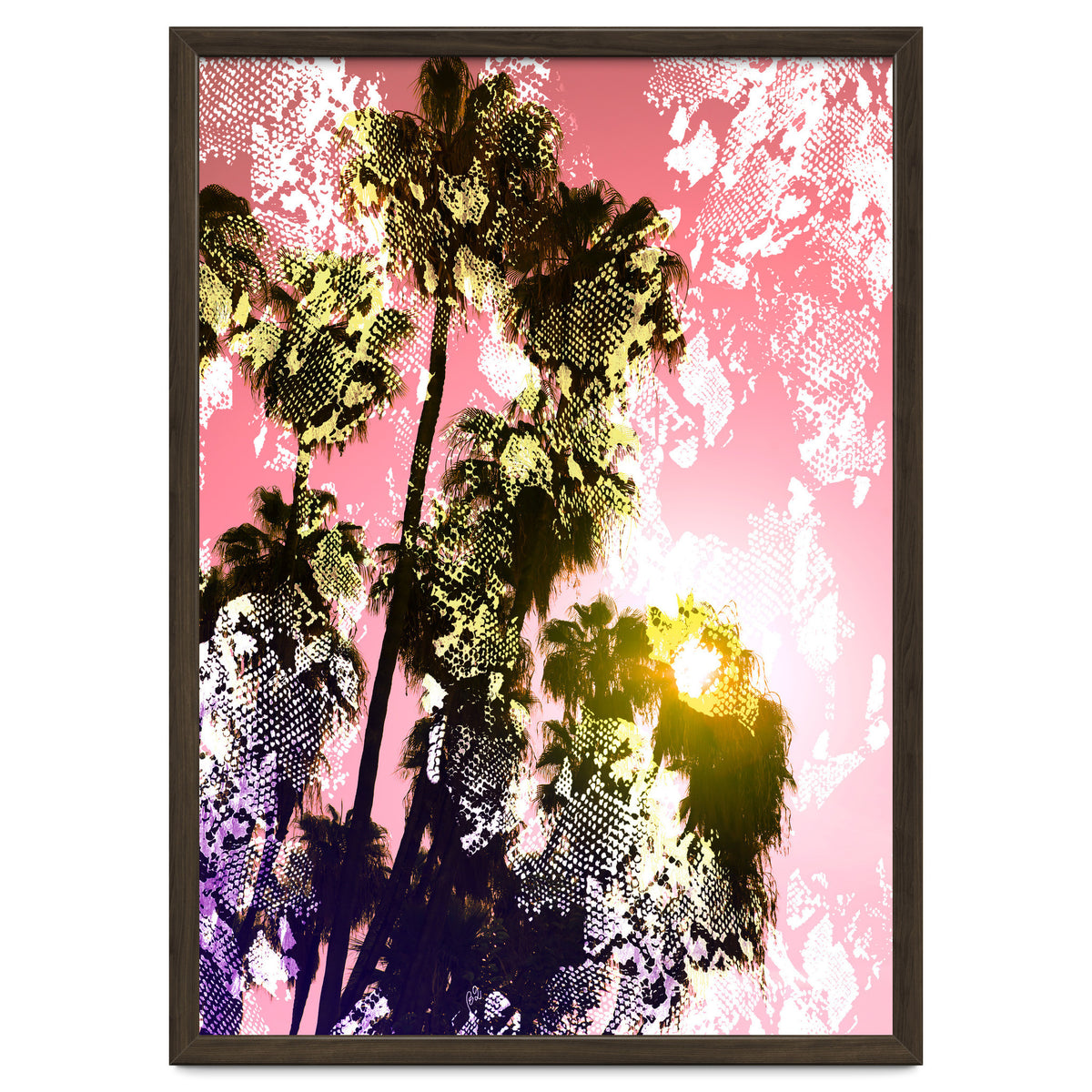 Snake sunset in paradise