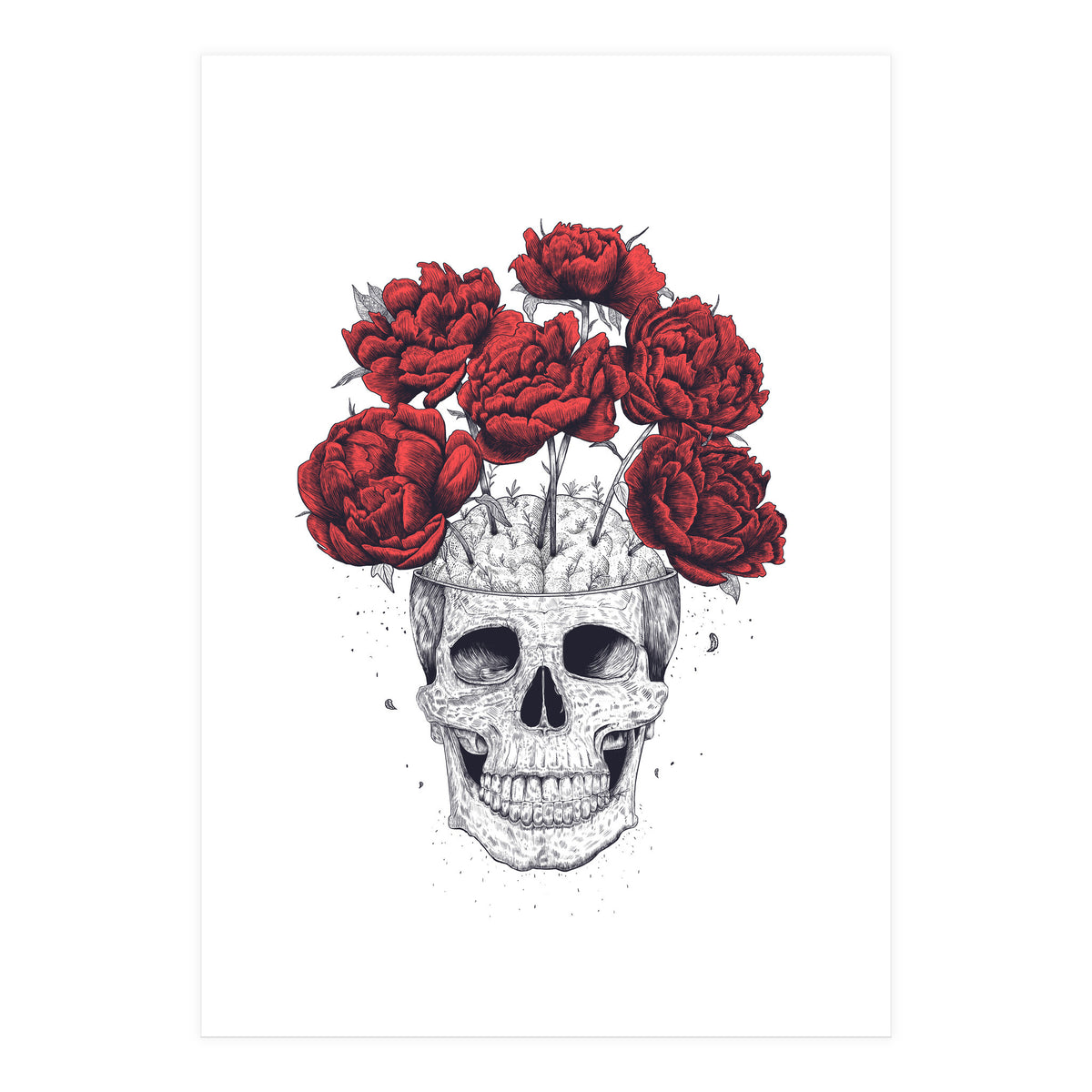 Skull With Peonies (Print Only)