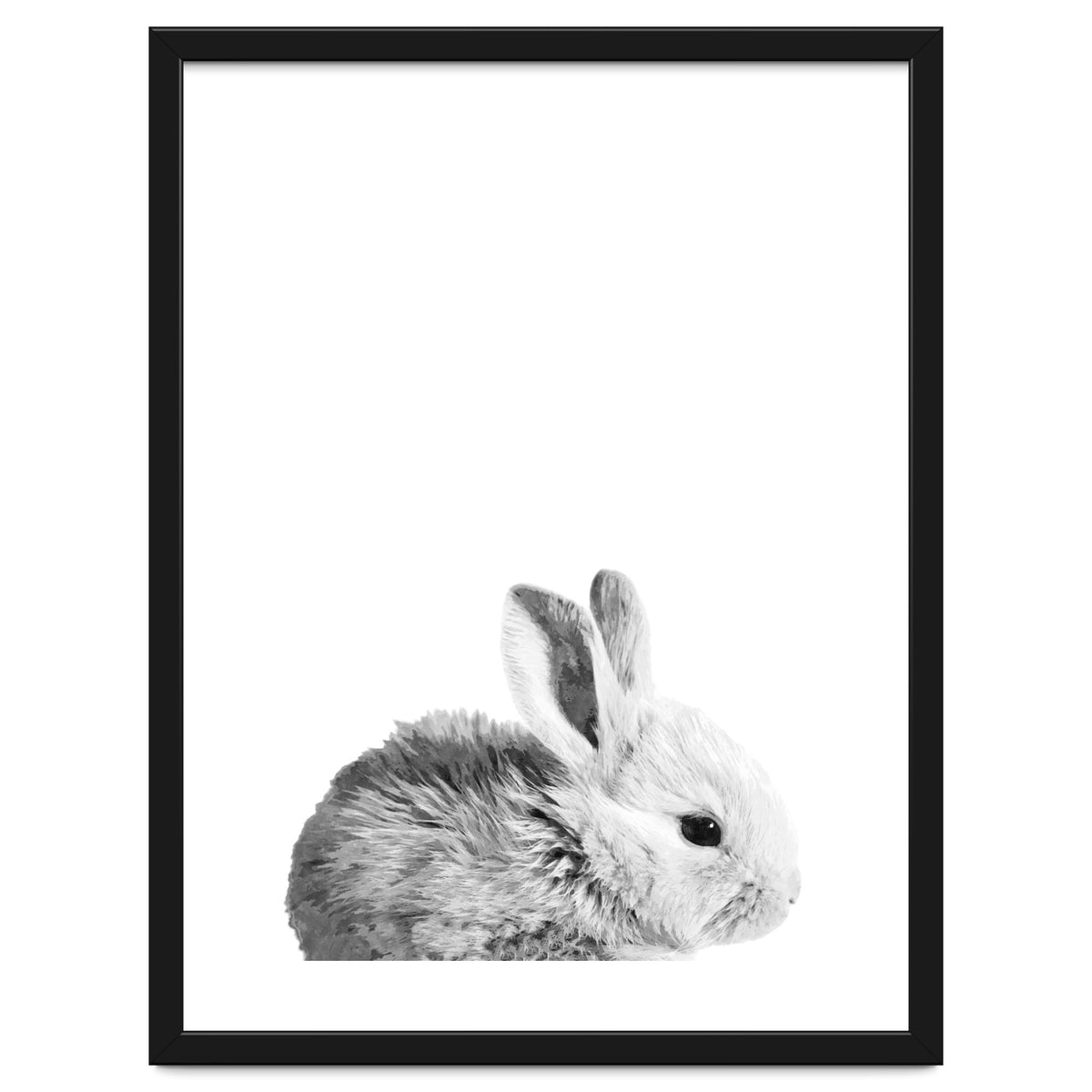 Black and White Bunny Portrait