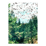 Save The Planet (Print Only) thumbnail