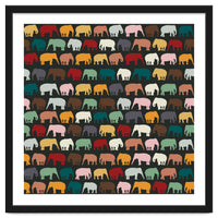 Elephants