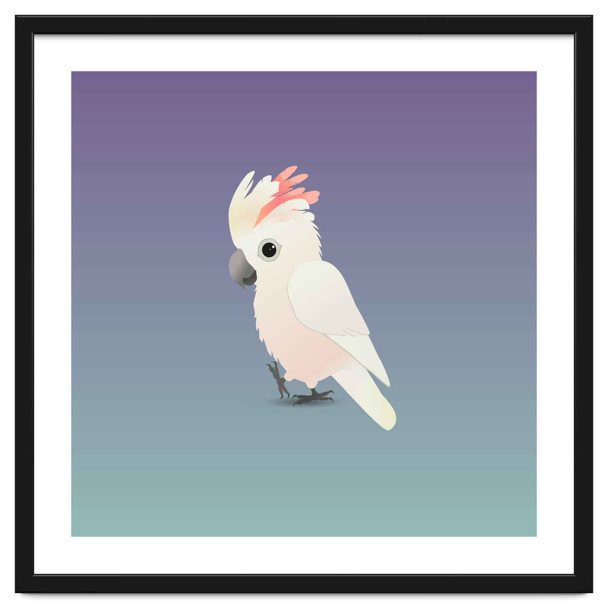 Salmon-crested cockatoo