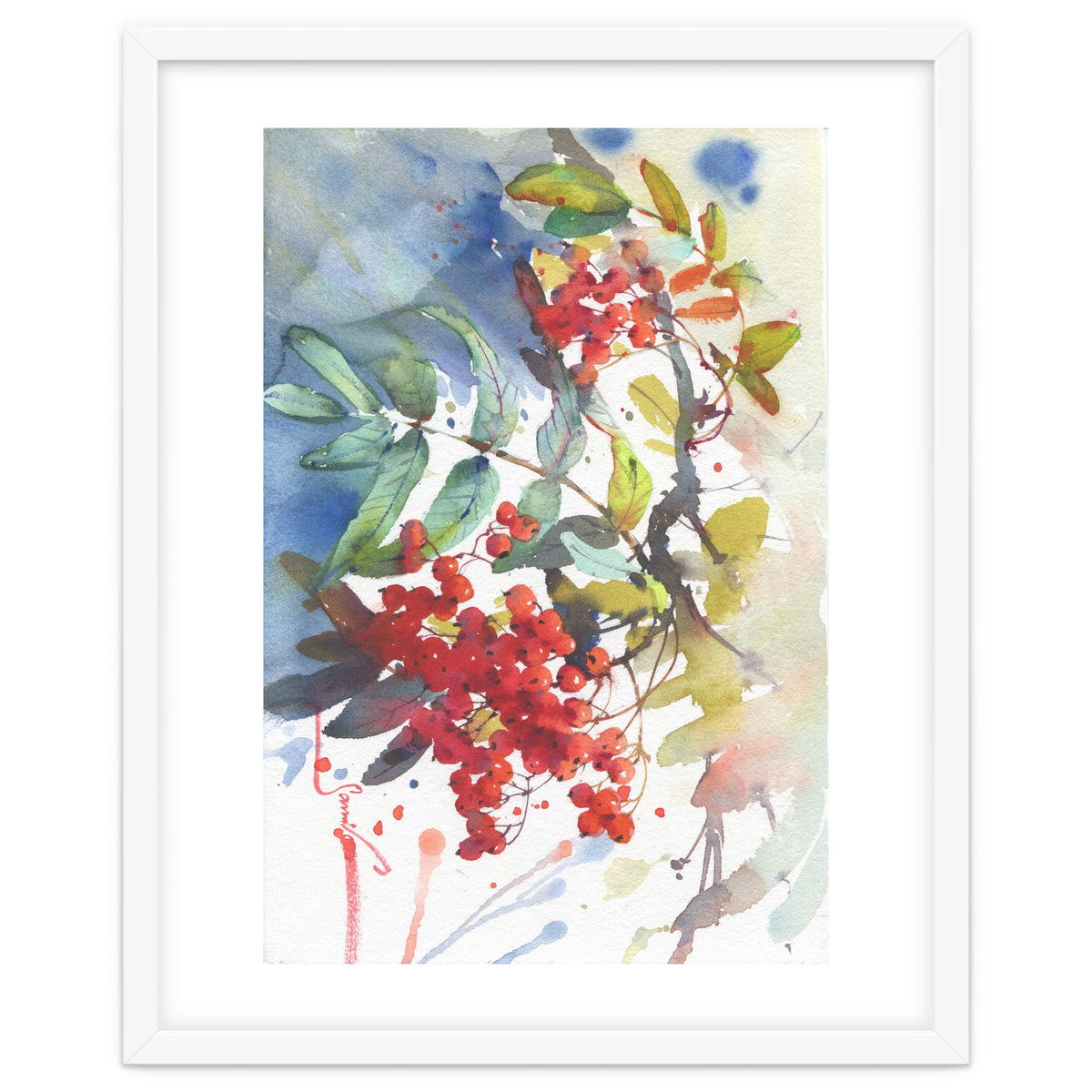 Viburnum / Guelder rose