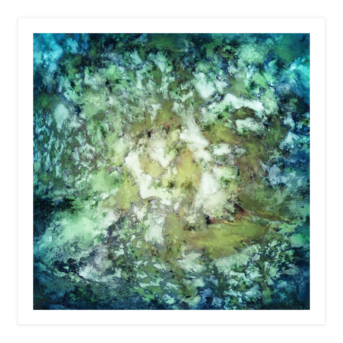 Observation (Print Only)