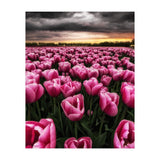 Spring Palette (Print Only) thumbnail