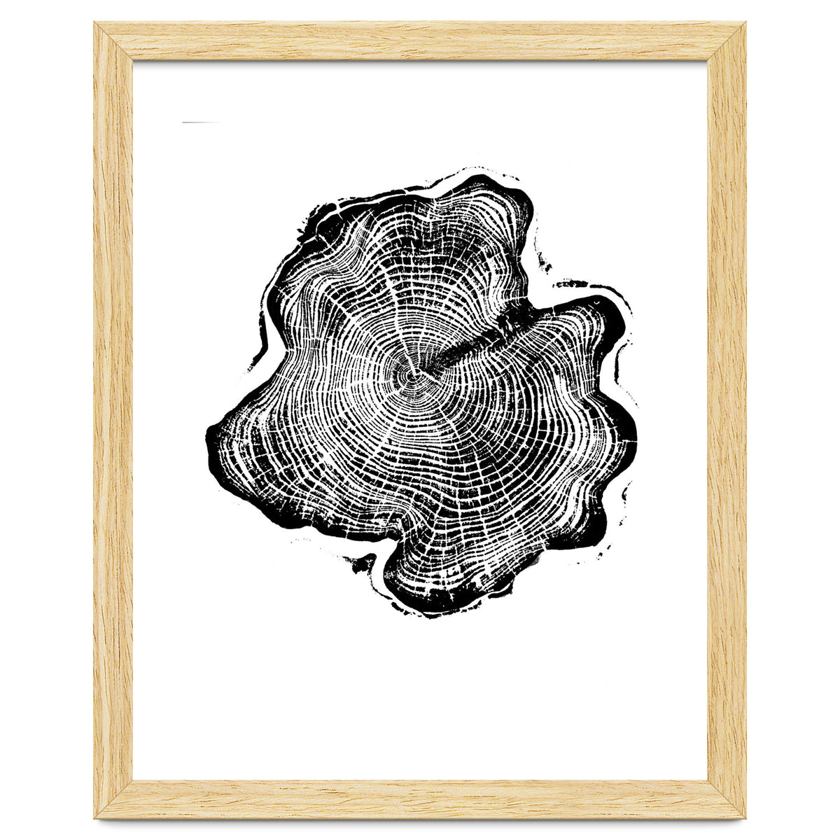Alaskan Cypress, Tree Ring Art Print, Woodblock