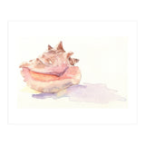 Conch Shell (Print Only) thumbnail
