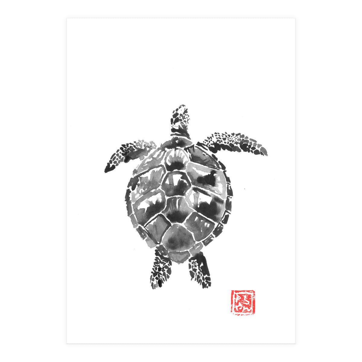 Tartoise (Print Only)