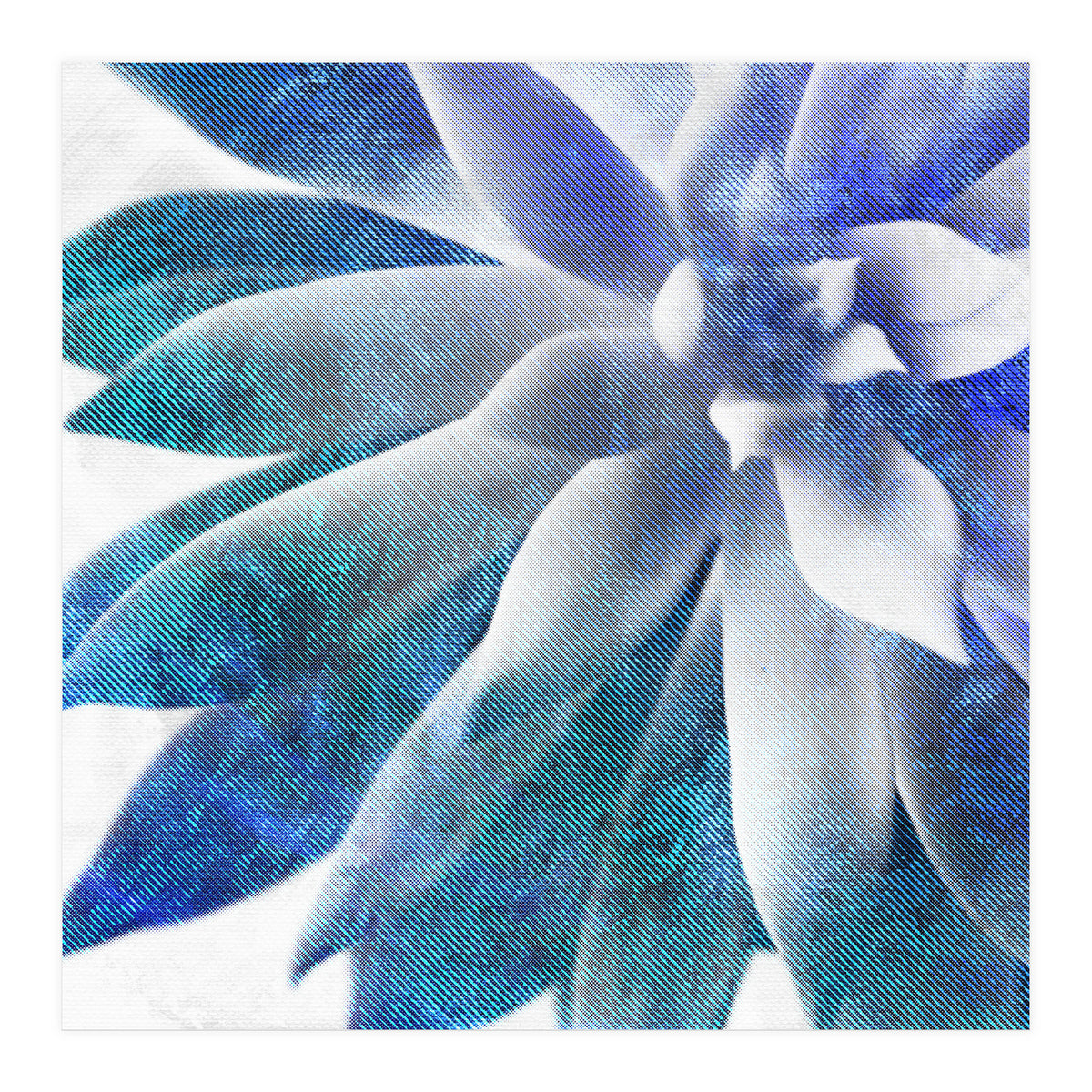 Rough Beauty 3 (Print Only)