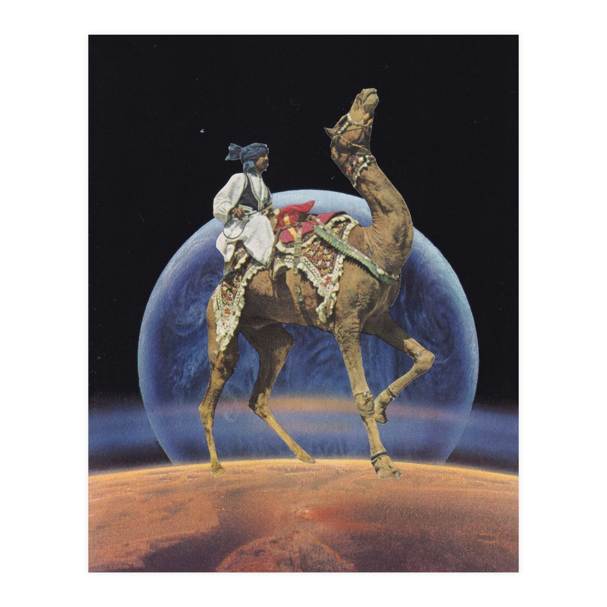 Dancing Camel (Print Only)