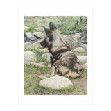 African Painted Dog I (Print Only) thumbnail