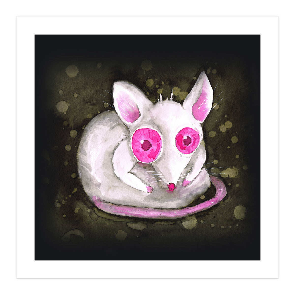 Albino rat (Print Only)