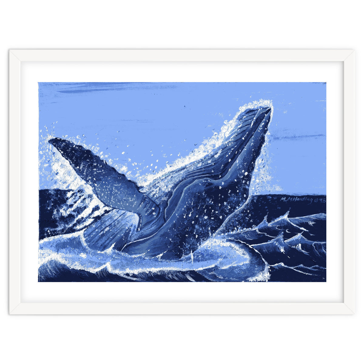 Humpback Whale Breaching
