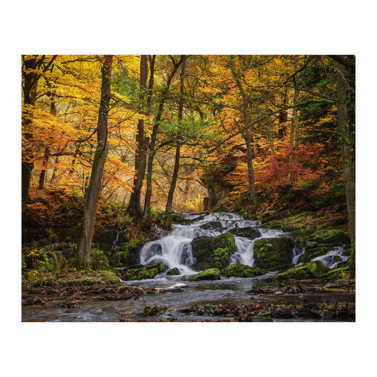 Selkewaterfal (Print Only)