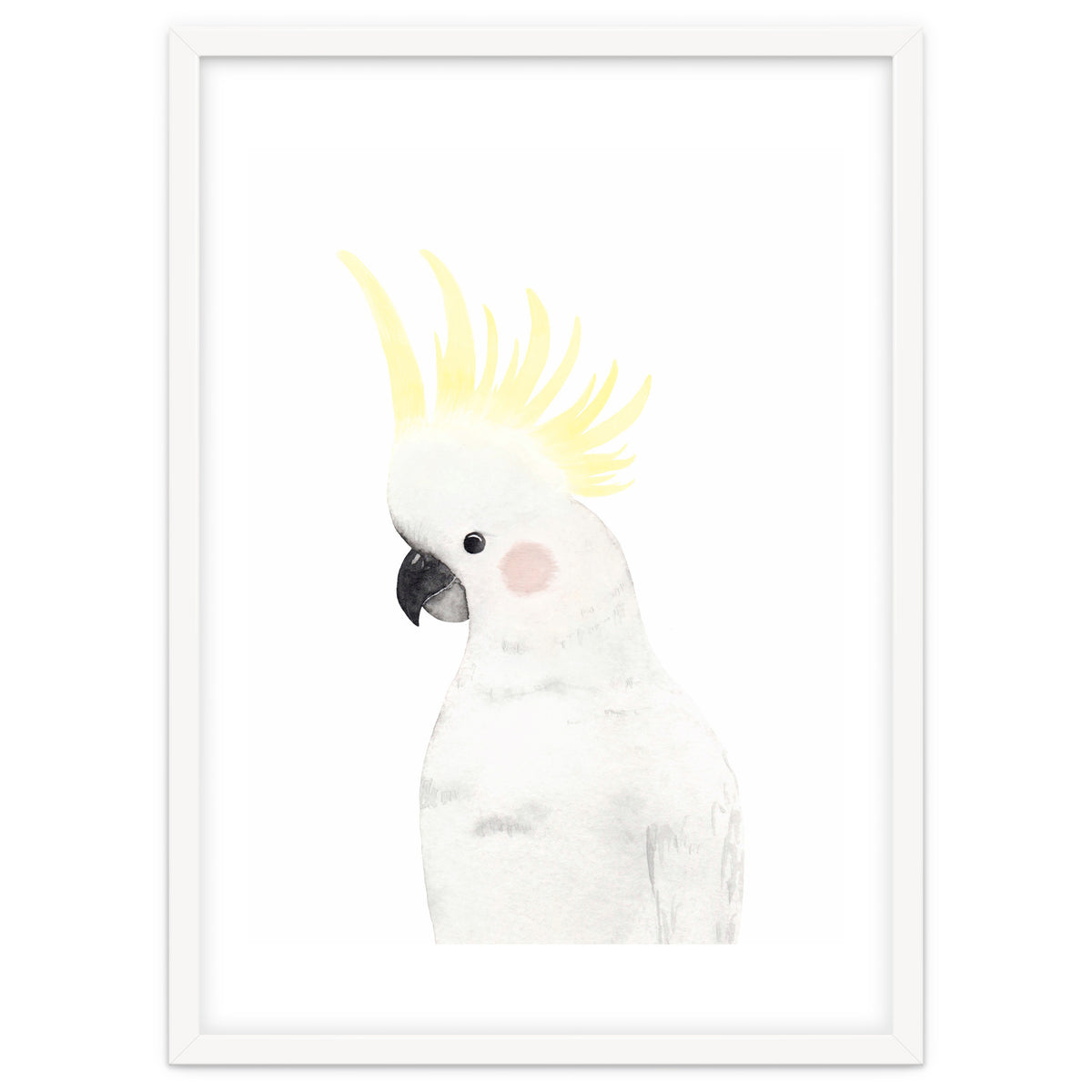 Sweet Cockatoo