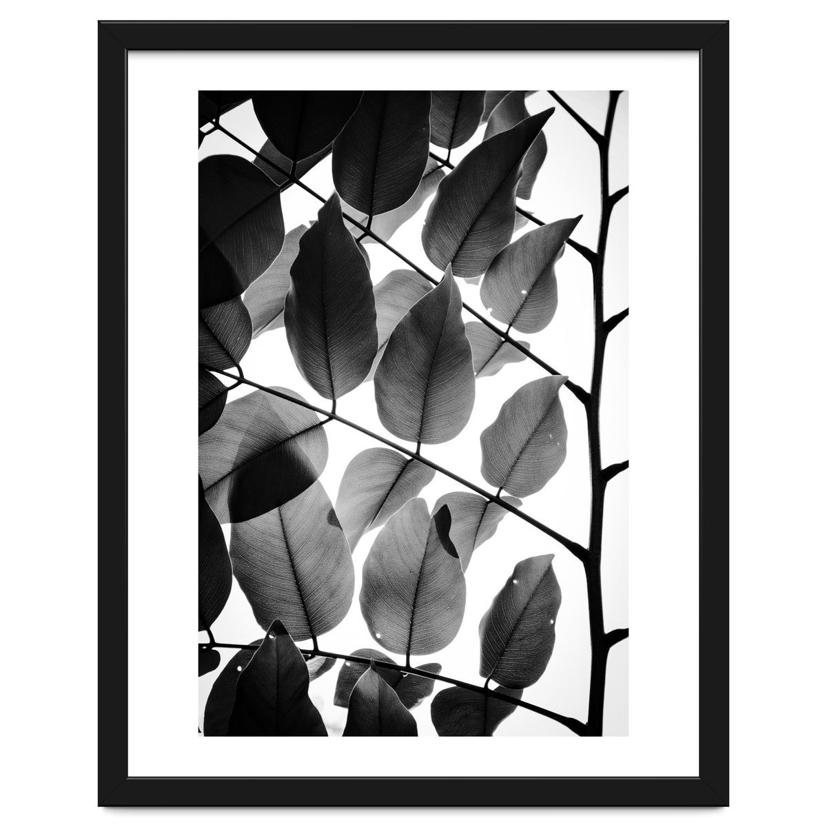 Branches and Leaves II