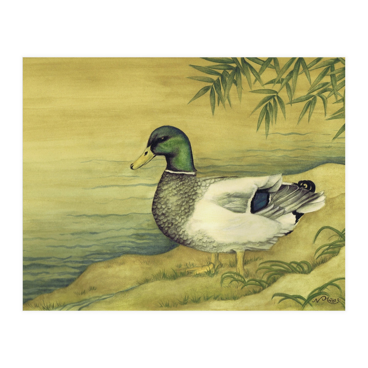 Mallard (Print Only)