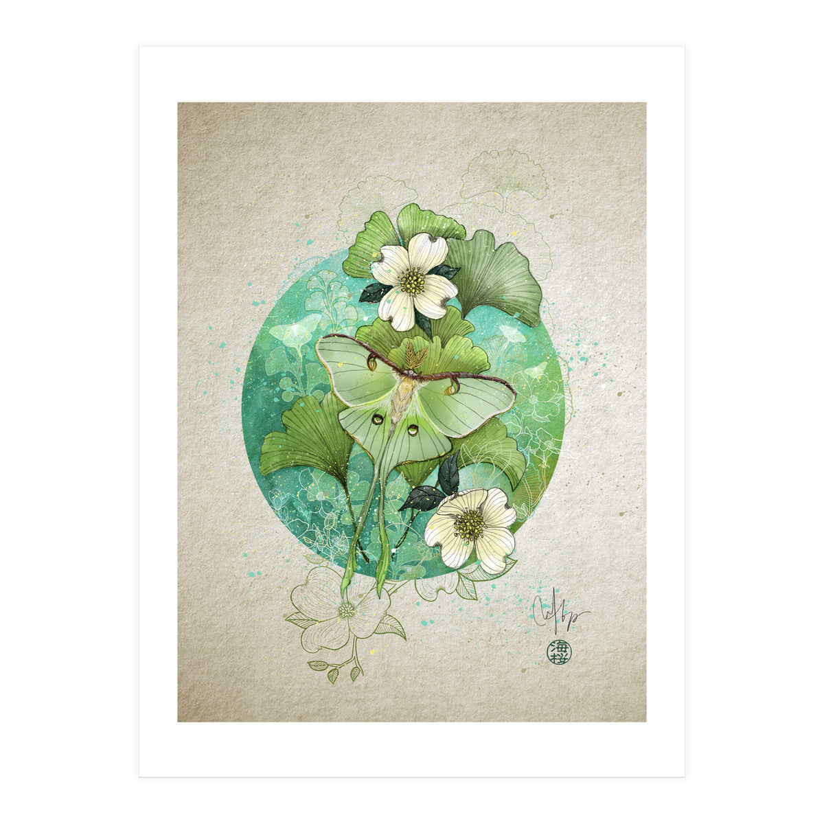 Luna Moth  (Print Only)