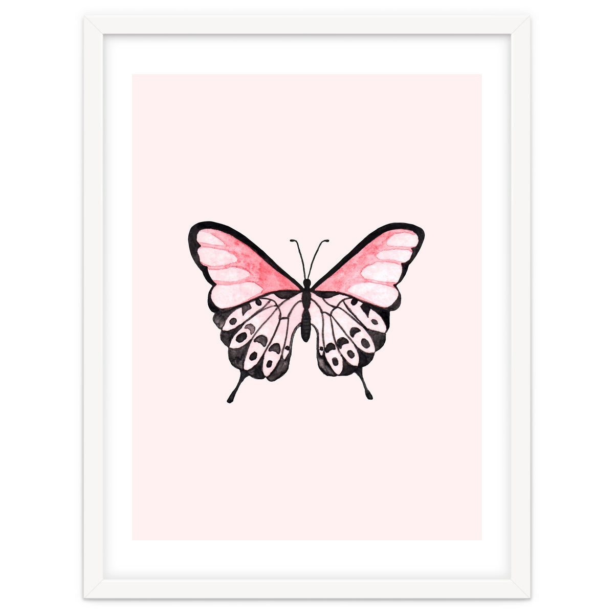 Pink Butterfly