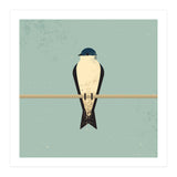 Swallow (Print Only) thumbnail