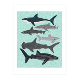 Sharks (Print Only) thumbnail