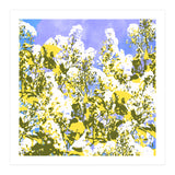 The Contrast Of Desire (Print Only) thumbnail