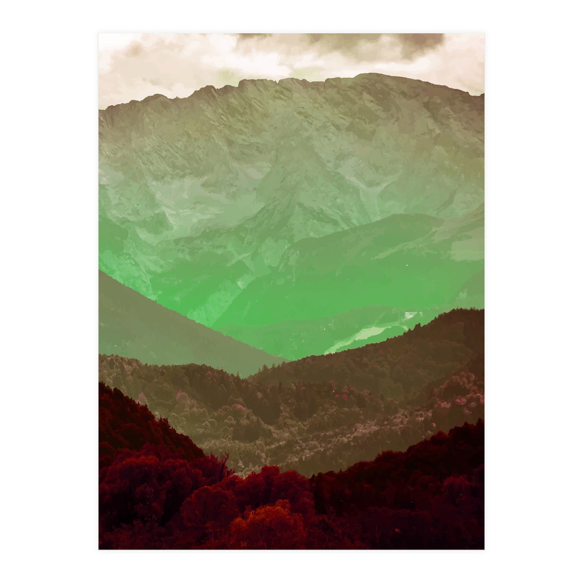 Philosophy & Purpose (Print Only)