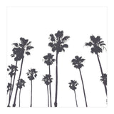 Palms & Sunset-Minimal B&W (Print Only) thumbnail